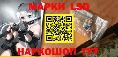 меф Гатчина