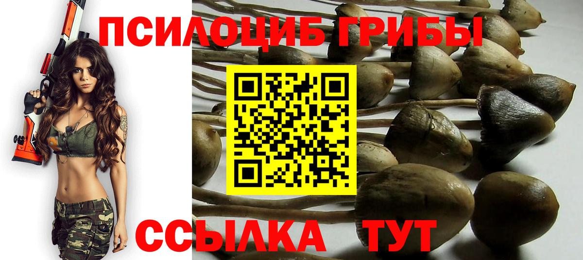 Галлюциногенные грибы прущие грибы Котовск