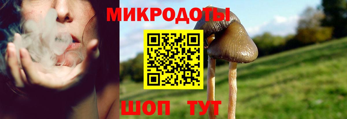 Котовск  Галлюциногенные грибы GOLDEN TEACHER  продажа наркотиков  Вход с VPN  Псилоцибиновые грибы ЛСД 